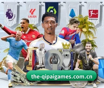 the-qipaigames.com.cn APP